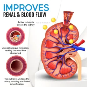 🌟 Official Store | Cvreoz® Kidney Boost & Care Inhaler✅ Say Goodbye to Kidney Problems and Hello to Healthier Kidneys!